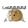 動く ハムスターフォトスタンぷー Line スタンプ Line Store