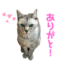 Saki Takigawa_20210119214435