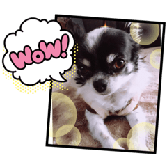 sayuri_20210119172007