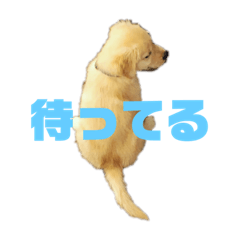 Ayumi_20210119200213