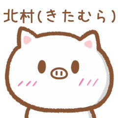 PIG FOR KITAMURA