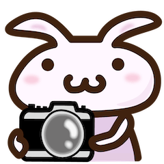 A rabbit that likes camera.