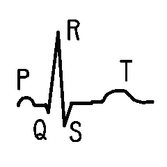Electrocardiography ECG monitor