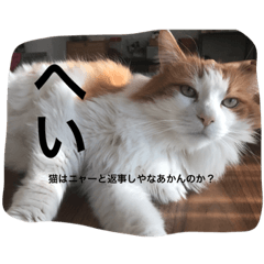 D_20210120121253