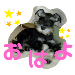 Yunoar
