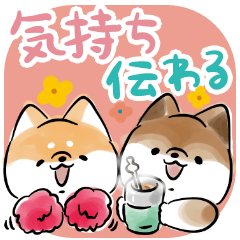 Shiba Inu Dog <Convey feelings 2>