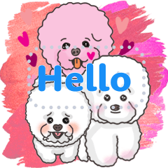 Lovely cute  puppies
