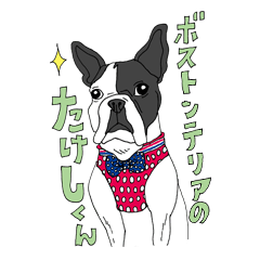 Boston terrier TAKESHI(BIG SIZE)Sticker1