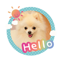 Fluffy Ponta's Stickers