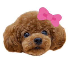 yuka_20210120161309
