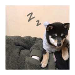 Seira_20210120182304