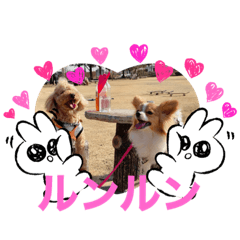 yukari_20210120194021