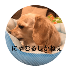 aoi_20210120232829