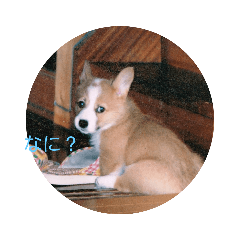 Risa_20210120232426