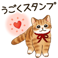 [Moving] Cat sticker (conveys feelings)