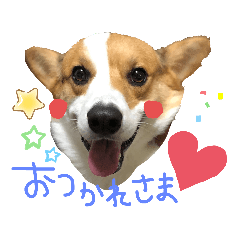 Tomomi_20210120223422