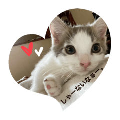 yuka_20210120224111