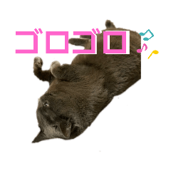 mimi_20210120232530