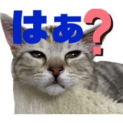 Haruna_20210120220624