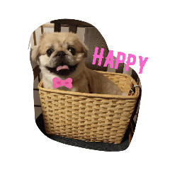 Ayumi_20210121003033