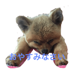 riho_20210120222300