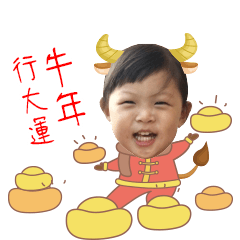 Happy New Year Little Princess Wangbao