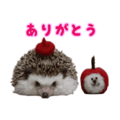 ハリネズミのハーリー 1 Line スタンプ Line Store ハリネズミのハーリー 1 Line スタンプ Line Store