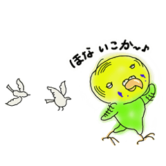Parakeet of Kansai dialect