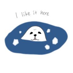 harp seal