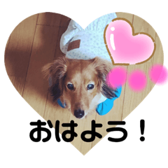 higashi-nachou_DOG stamps2