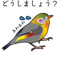 丁寧な言葉づかいの鳥スタンプ Line スタンプ Line Store