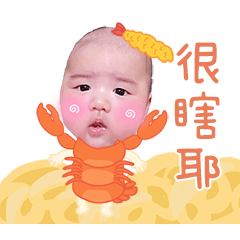 小胖弟豆豆