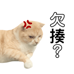 嚕嚕的表情包(●°u°●)​ 」