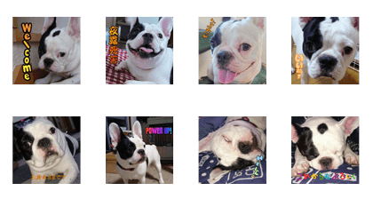 French bulldog YUA Sticker French bulldog YUA Sticker