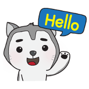 Siberian Husky's Lover Siberian Husky's Lover