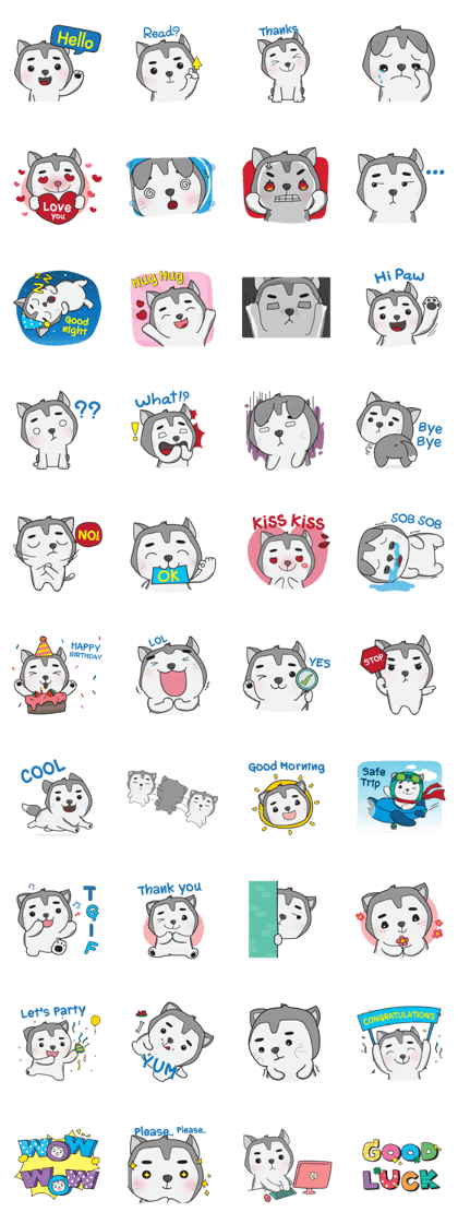 Siberian Husky's Lover Siberian Husky's Lover