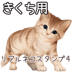 Kikuchi Real pretty cats 4