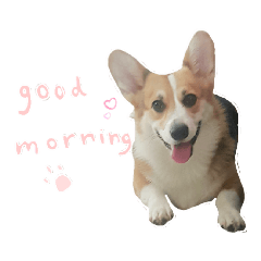 melon_20210121095007