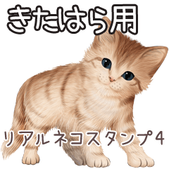 Kitahara Real pretty cats 4