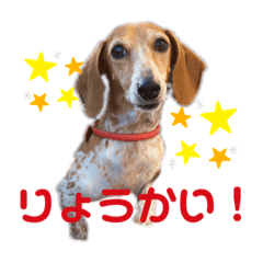 ayumi_20210121161445