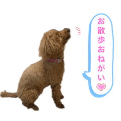 Mochagawa Shanko