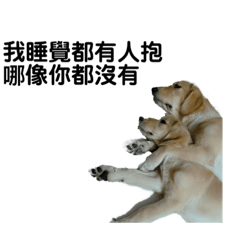 Poki生活-第二季