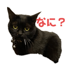 saya_20210121194439