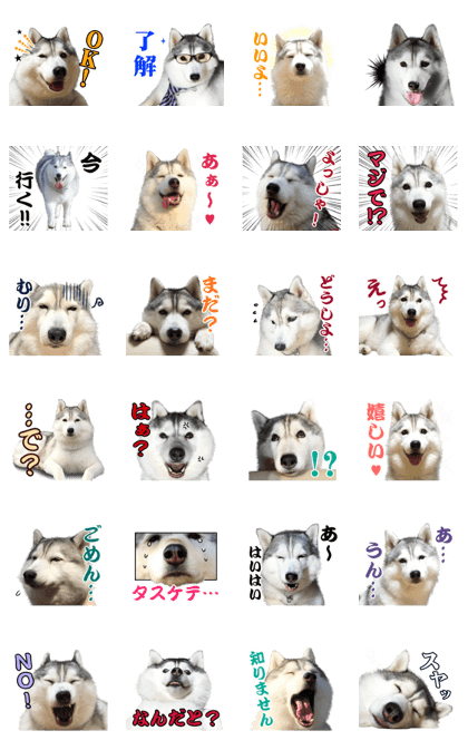 OSHIRU Sticker OSHIRU Sticker