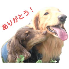 Riho_20210121215941