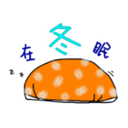 DAIRY CATTLE SWEETHONEY - NANU