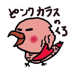 Pink Crow "KURO"