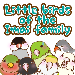 Little birds of the Imai family