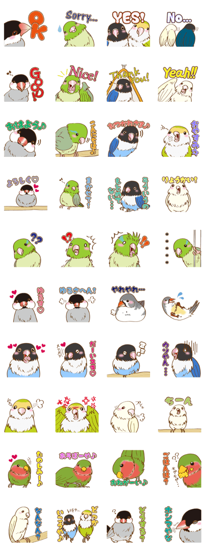 Little birds of the Imai family