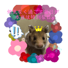 YUKINA_20210122045946